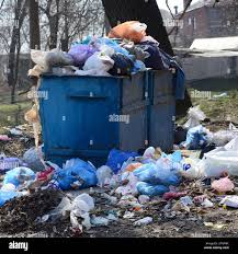 Best Dumpster Rental Services  in Excelsior Springs, MO